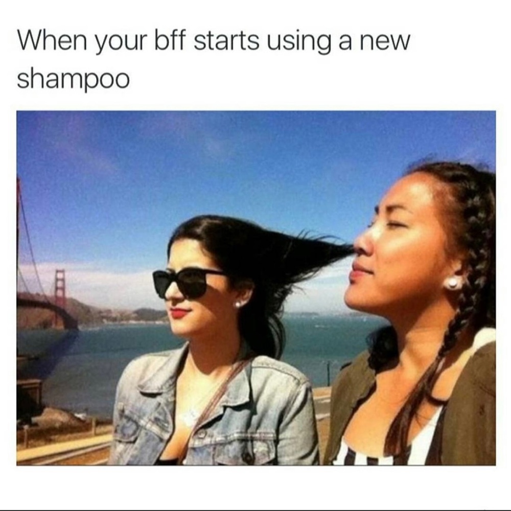 🤣lol, dying!🤣
